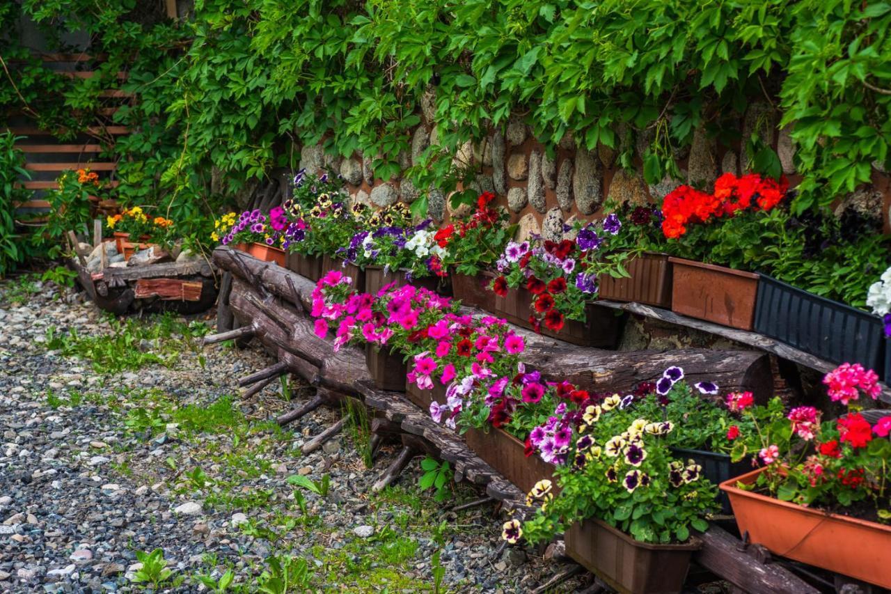 Pokoje Z Widokiem Na Gory I Prywatny Domek Z Zadaszona Altana - Grillem I Ogniskiem. Закопане Екстериор снимка